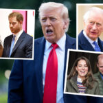 Donald Trump Shades Prince Harry During State Banquet With William & King Charles!
