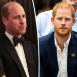 Prince William Makes It Clear Where He Stands On Prince Harry's Reconciliation Efforts!