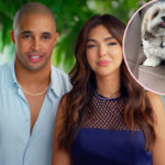 HGTV Stars Claim Their Dog Died While With Sitter -- Who Tried To Cover Up The Horrible True Story!