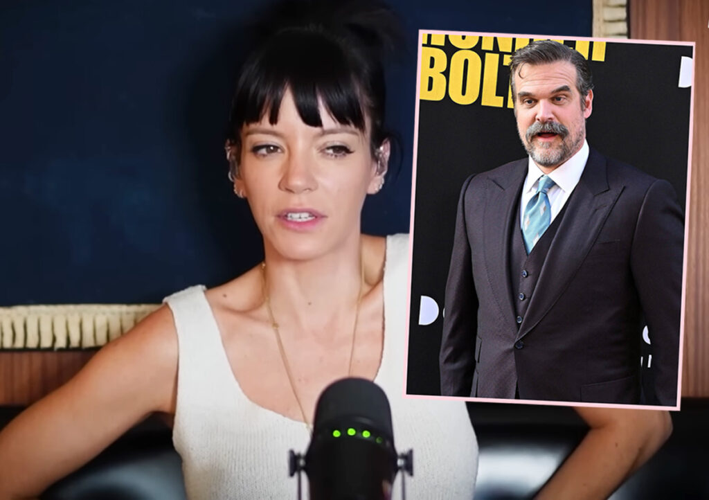 Lily Allen Basically Confirms David Harbour Cheated In Savage New Breakup Album Lyrics!