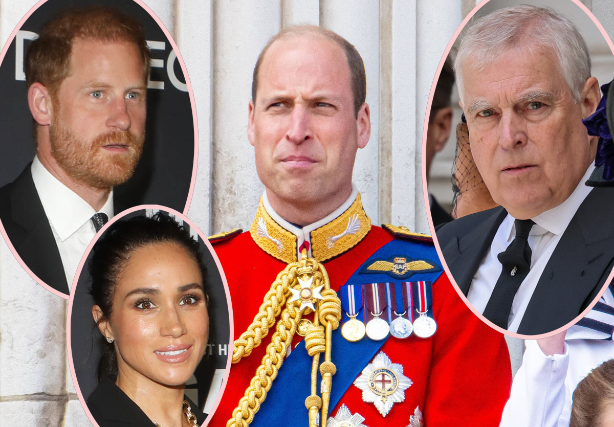 Harry & Meghan Are Prince William’s Next Targets After Andrew’s Exile, Hints Royal Aide – AND THEY KNOW IT!