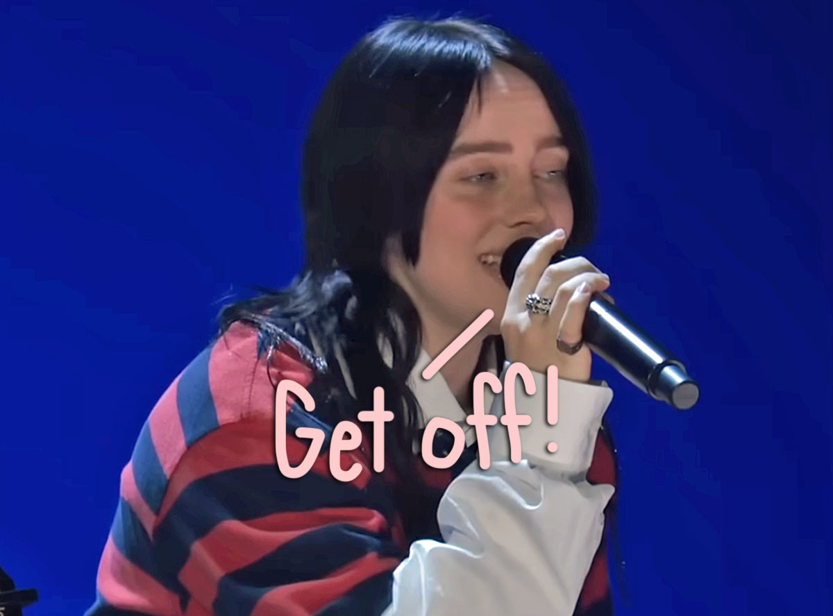 Billie Eilish Violently Grabbed By Fan During Miami Concert -- WATCH!