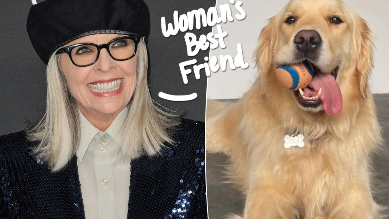 Diane Keaton Left $5 Million To Her Dog: Report - Perez Hilton