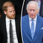 Prince Harry Tries New Strategy To Obtain Security Amid Stalker Scare -- But It 'Complicates' Reconciliation With Charles!
