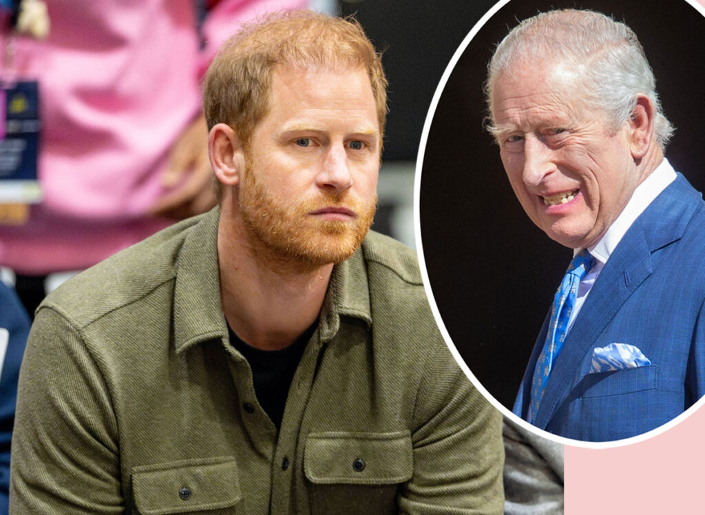 Prince Harry's Alleged Stalker Could Force King Charles To Cave On Security Rift!