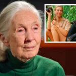 Jane Goodall's Cause Of Death Revealed After She Was Found Dead In Her Sleep