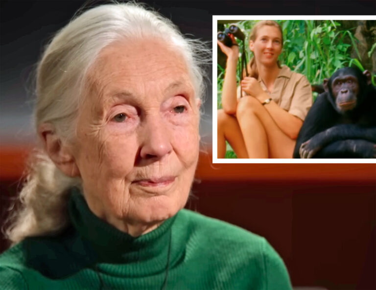 Jane Goodall's Cause Of Death Revealed After She Was Found Dead In Her