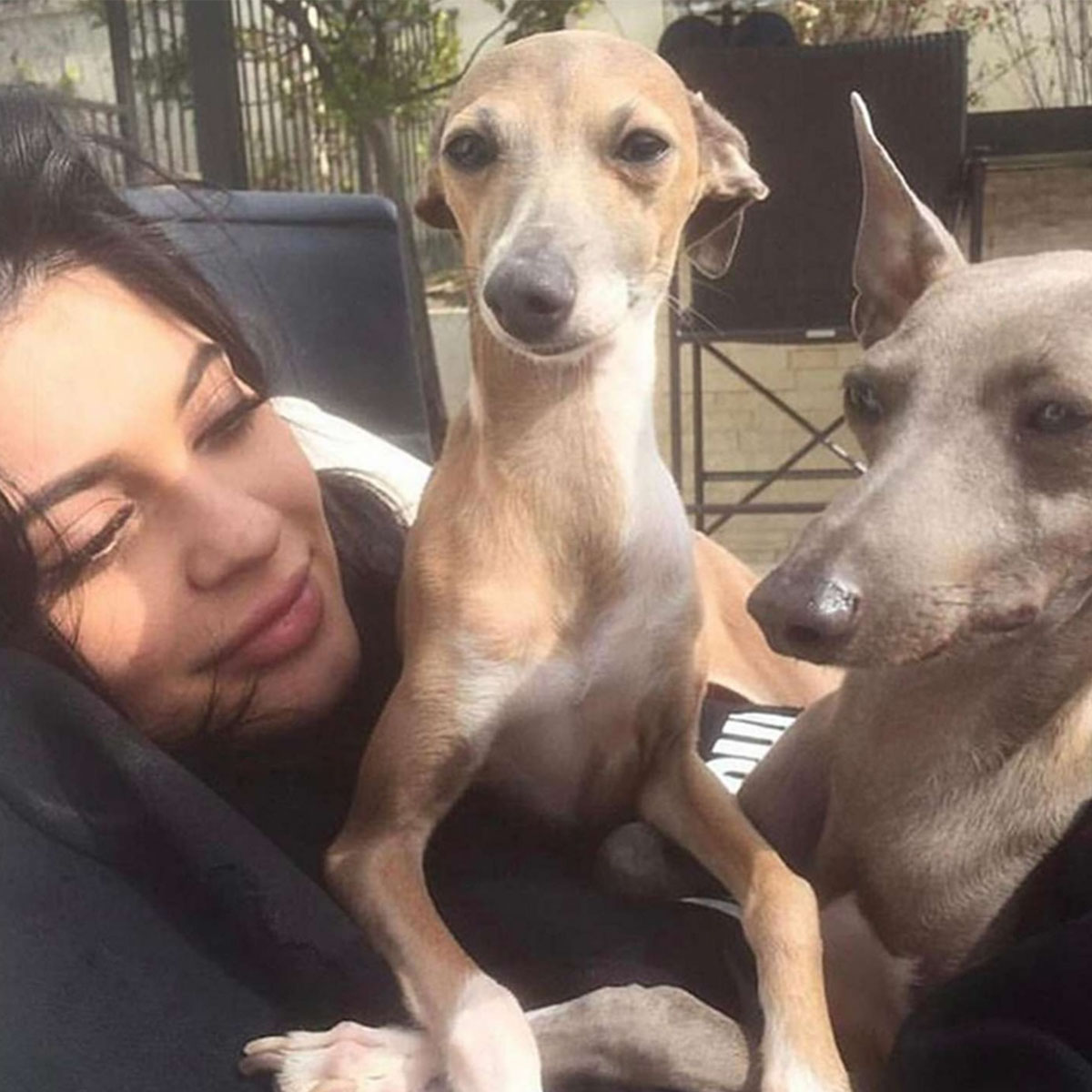 Kylie Jenner mourns dog Norman