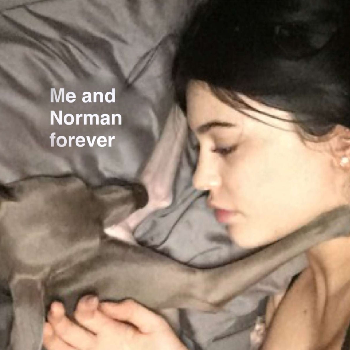 Kylie Jenner mourns dog Norman