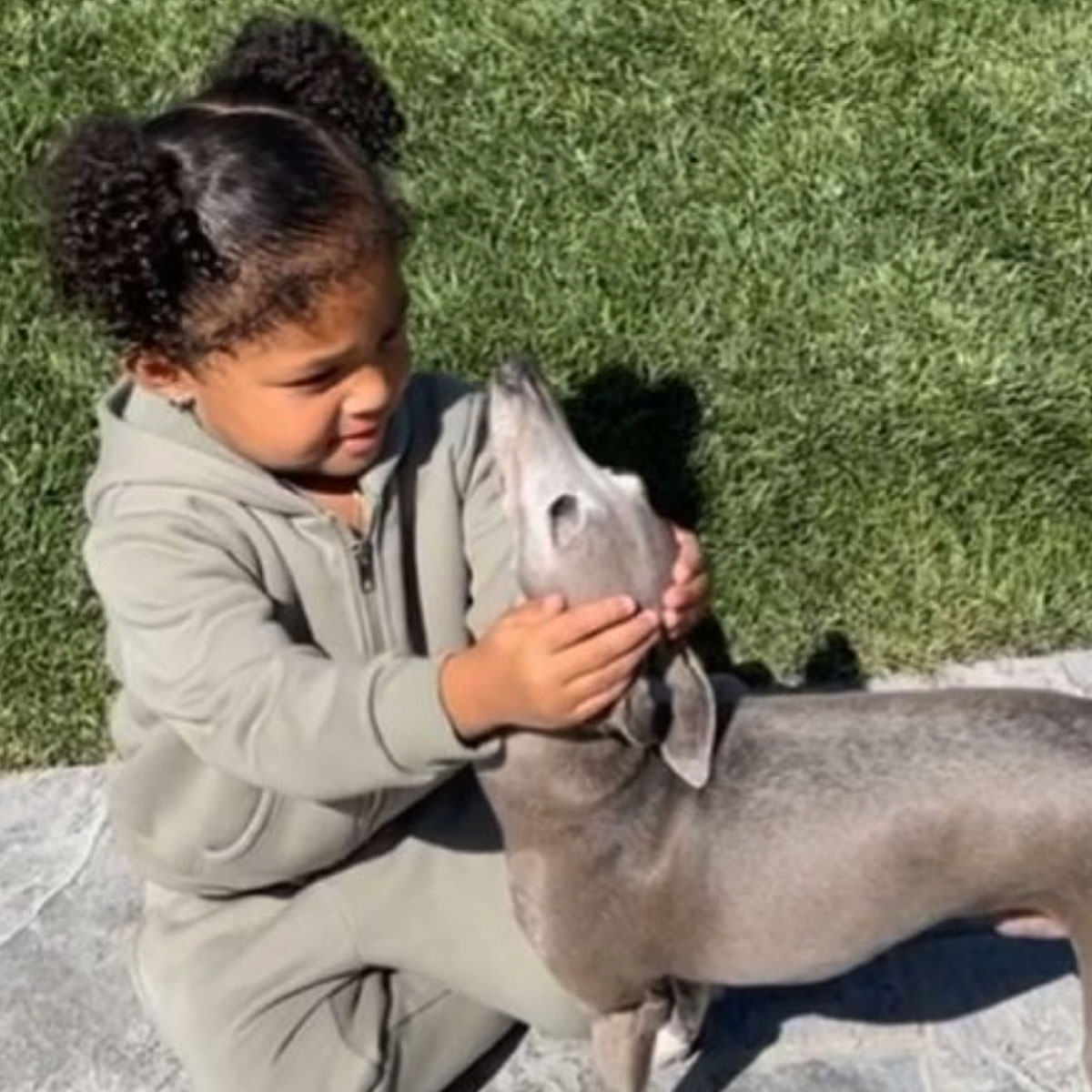 Kylie Jenner mourns dog Norman