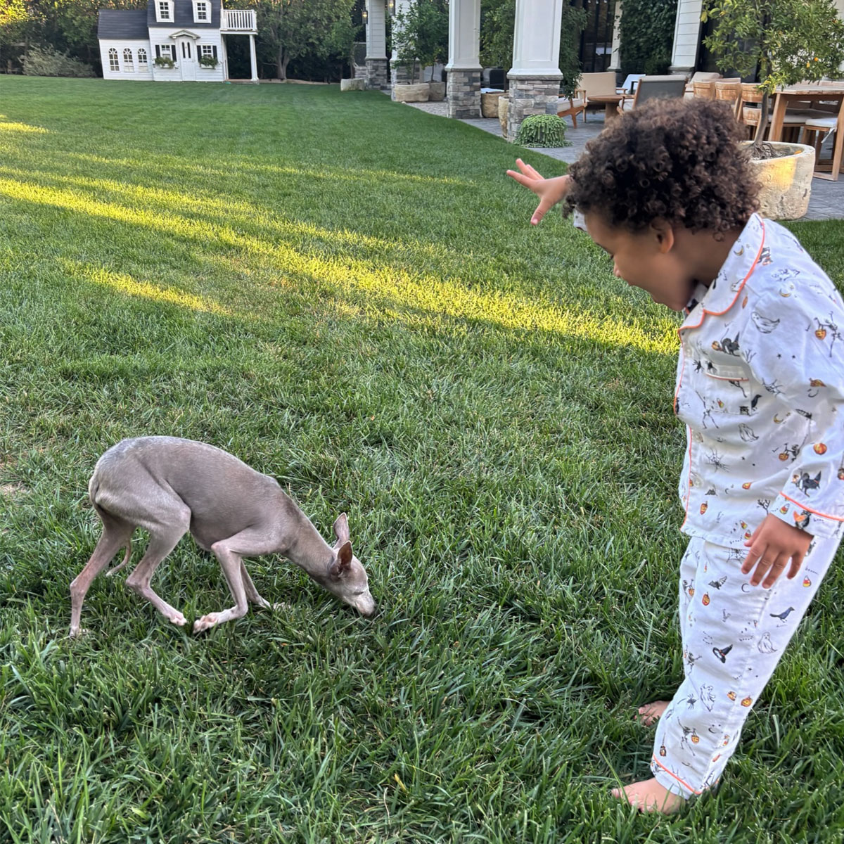 Kylie Jenner mourns dog Norman