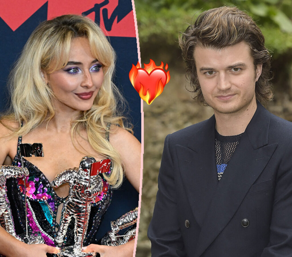 Sabrina Carpenter & Stranger Things Star Joe Keery Hint At MORE After She Handcuffs Him At Concert!