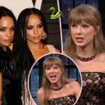 You Won't BELIEVE How Cool Taylor Swift Was About Zoe Kravitz & Lisa Bonet's Snake Destroying Her House!