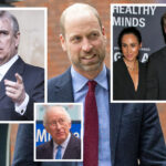 Prince William Plans To Treat Harry & Meghan Like Prince Andrew: REPORT