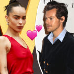 Harry Styles & Zoë Kravitz 'More Serious' Than Ever Before After Taking THIS Next Step In Romance!