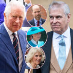 A 'Family Decision'! How Queen Camilla & Princess Catherine Also Had A Hand In Andrew's Royal Title Removal!
