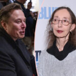 Strange Celebrity Feud Alert! Elon Musk Getting DESTROYED By Author Joyce Carol Oates!
