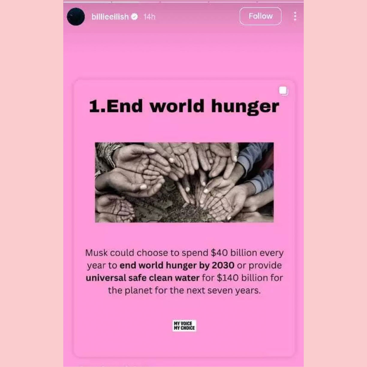 billie eilish elon musk instagram stories