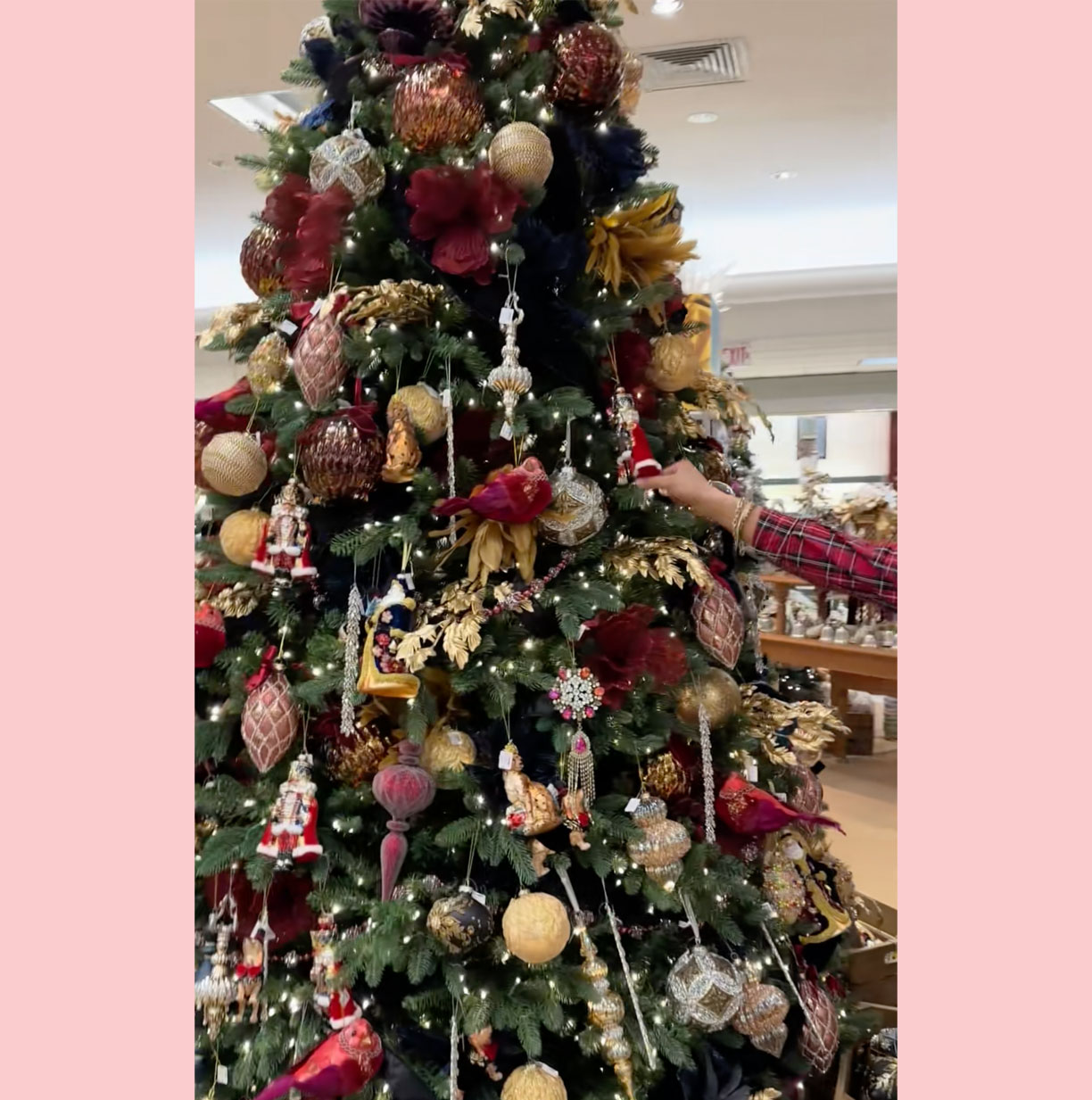 Cody McNabb Christmas Dillard's display