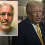Donald Trump SNAPS At Female Reporter Over Epstein Files -- Calls Her The Most Inappropriate Thing!