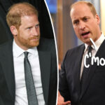 Prince Harry Claps Back As He's Accused Of Trying To Upstage William With Overlapping Trip!