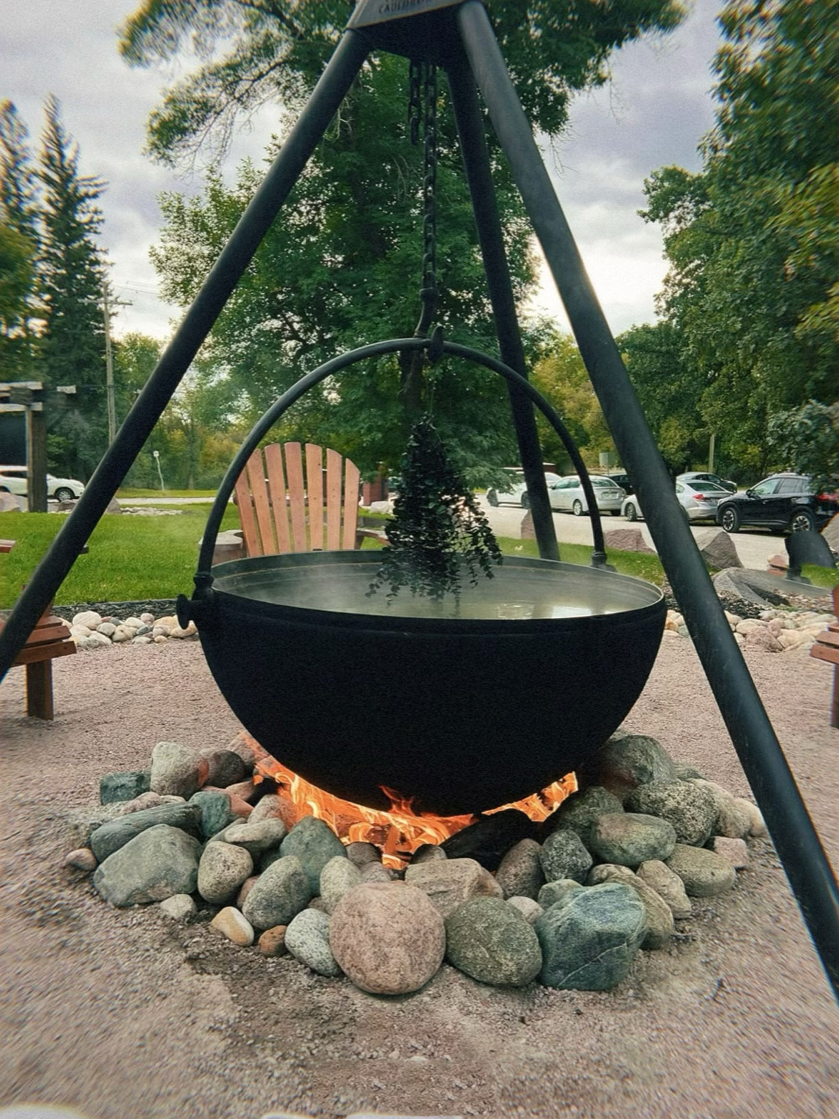 Natalie Tippett spa Canada David harbour