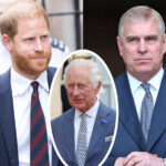 Prince Harry Supported King Charles' Decision To Strip Andrew Of Titles -- Even Though His Could Be Next??