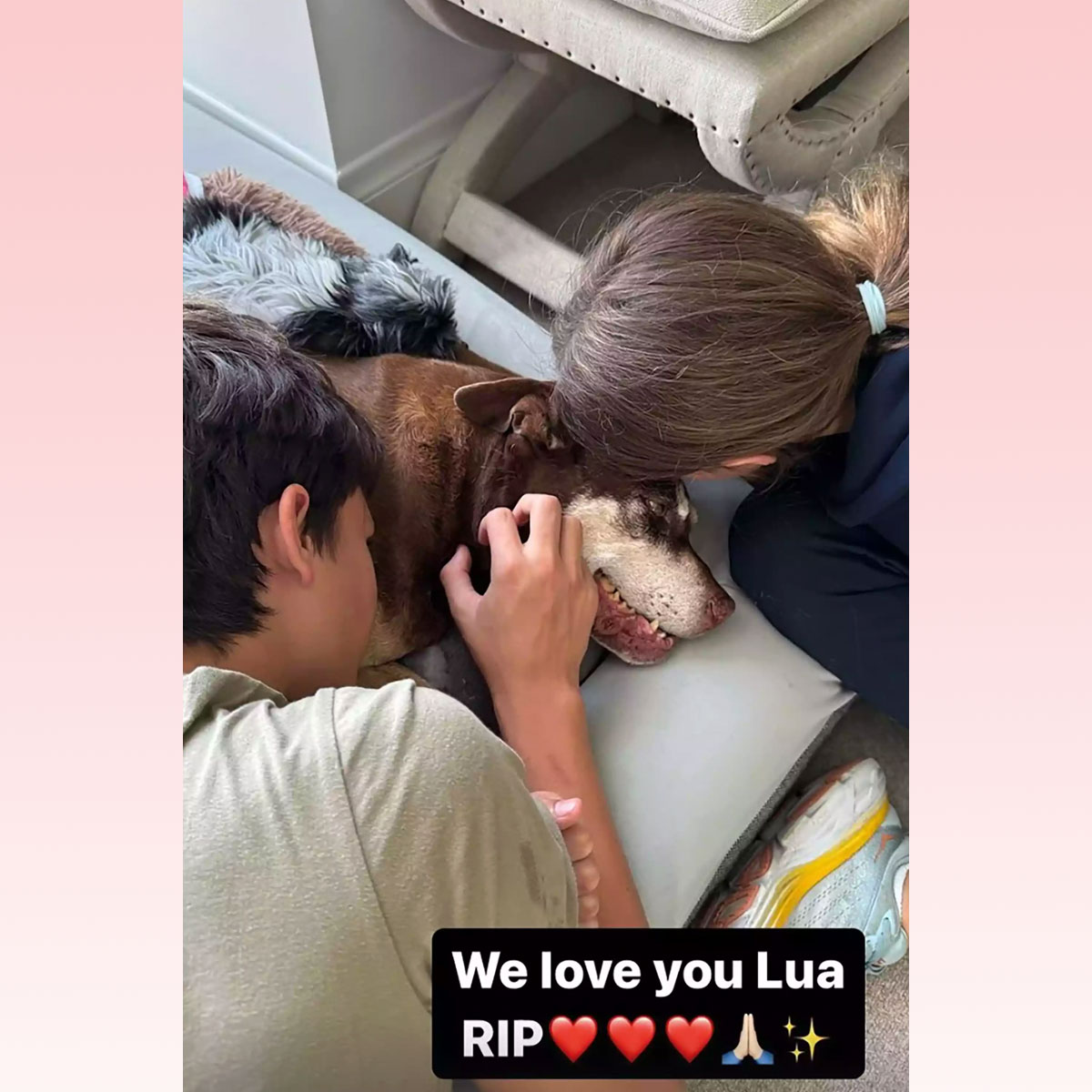 Tom Brady says goodbye to dog Lua