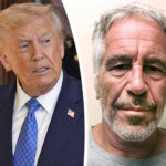 Photo Of Donald Trump Among 16 Epstein Files That DISAPPEARED From DOJ's Website After Release!