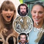 Kylie Kelce Reacts As Zookeeper Reveals What Taylor Swift Song They Play To Get Tigers 'In The Mood'
