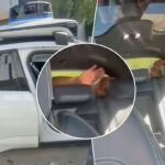 Waymo Horror Story! Los Angeles Mom Finds Stranger In Trunk Of Self-Driving Car She Ordered For Daughter!