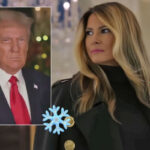 Social Media Reacts To Melania Trump's 'Questionable' White House Christmas Theme: 'But She's Never There!'