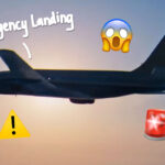 Watch As Plane Tries To Land On Highway But Crashes Into Car Instead -- Terrifying!