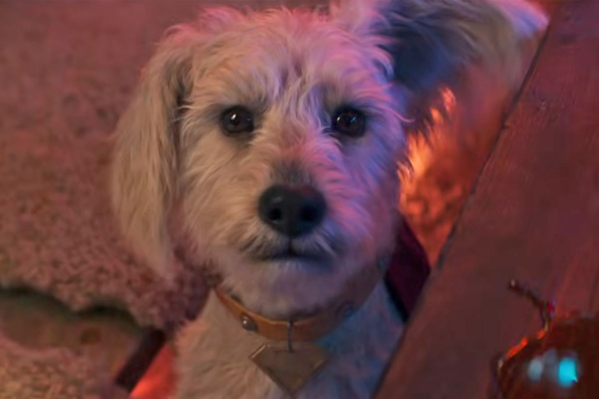 Supergirl 2026 trailer!