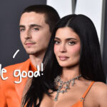 Kylie Jenner & Timothée Chalamet Shut Down Breakup Rumors By Twinning At The Marty Supreme Premiere!