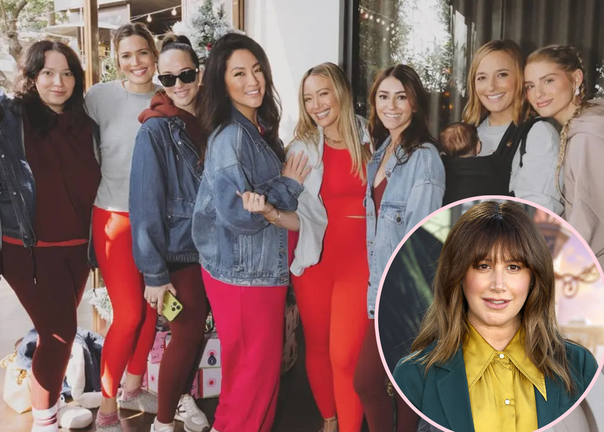 Meet The Other Alleged Members Of Ashley Tisdale’s Supposedly ‘Mean’ & ‘Toxic’ Mom Group!