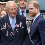 King Charles Planning More Peace Talks With Prince Harry -- But There's One Potential 'Dealbreaker'!