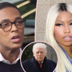 Don Lemon SLAMS 'Political Pick Me' Nicki Minaj After Her Homophobic Rant: 'Grow Some Brains'