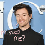 Harry Styles Is BACK! See His Announcement For His New Album -- And Its Groovy Name!