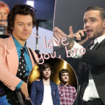The Subtle Way Harry Styles Honored Liam Panye With New Album Announcement
