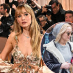 Jennifer Lawrence Rocks See-Through Dress At Golden Globes After INTENSE Dog Controversy!
