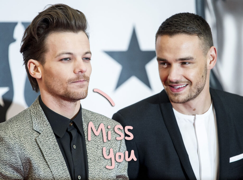 Louis Tomlinson Heartbreakingly Mourns Liam Payne In New Song I Can t 
