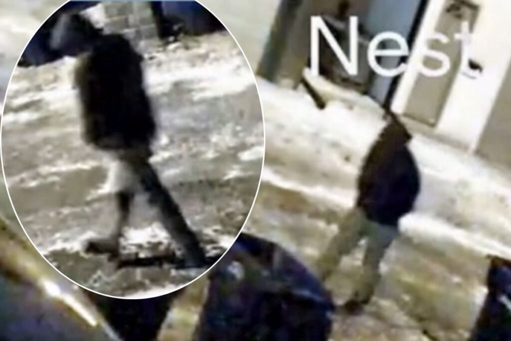 Popular Dentist & Wife Murdered In Their Own Home While Young Children Were Inside -- Chilling Video Shows Person Of Interest