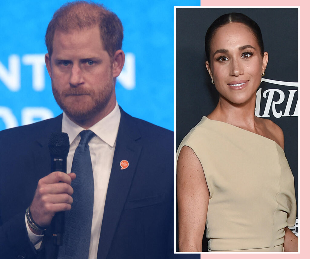 Are Prince Harry & Meghan Markle Already Planning Their Kids' Careers?! Insider Says THIS Is A Dead Giveaway!