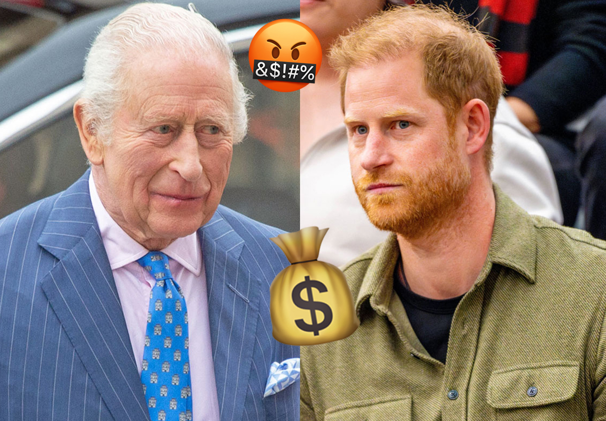 Book Claims Prince Harry 'Swore' At King Charles & 'Demanded&hellip;