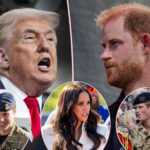 Prince Harry SLAMS Donald Trump's NATO Comments, Reminds Him How Europe Was There For United States After 9/11: 'I Lost Friends' In Afghanistan