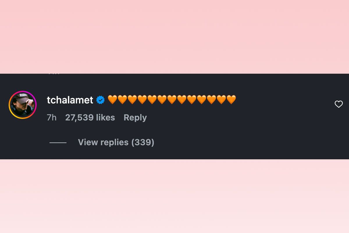 Timothée Chalamet comments on Kylie Jenner's post