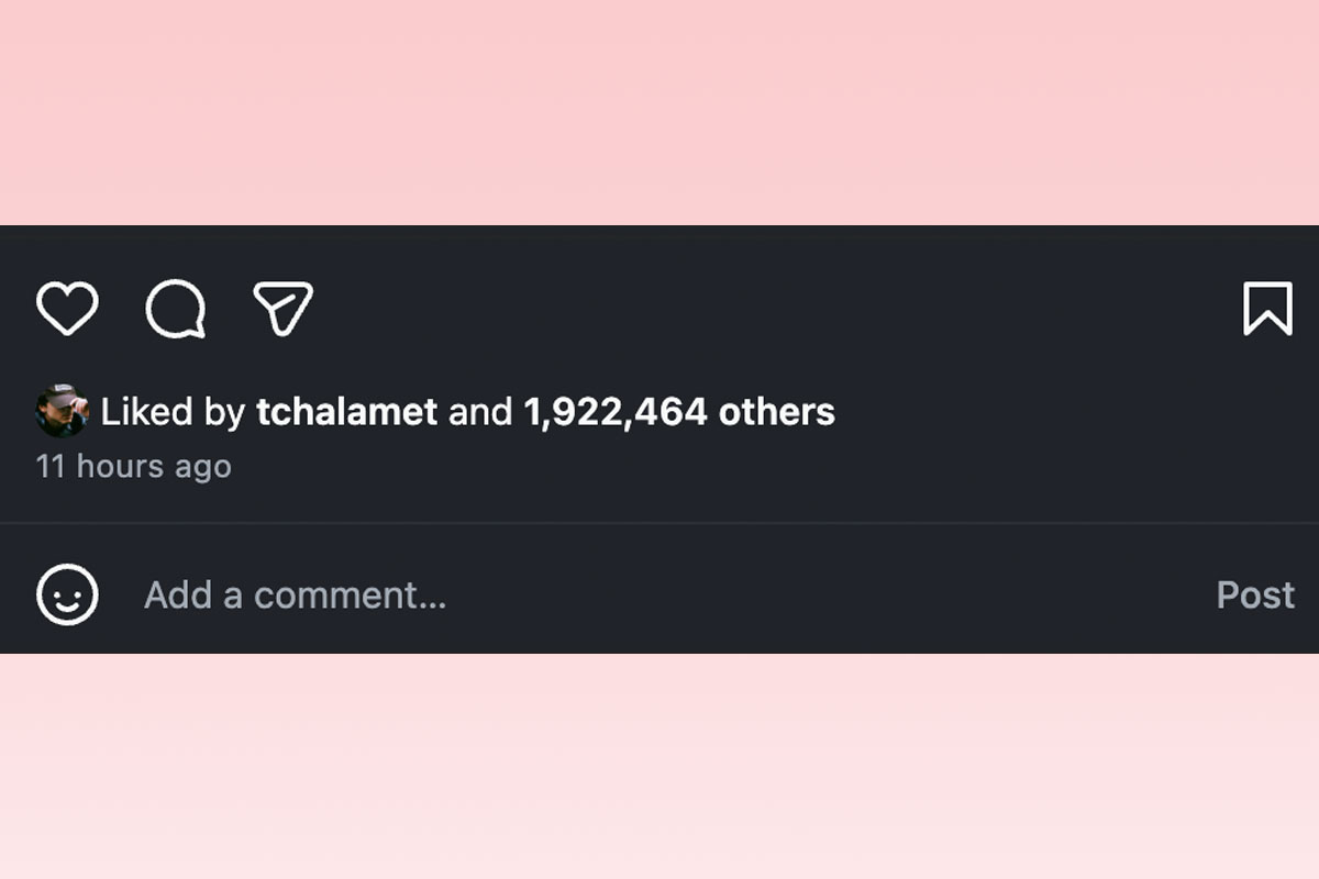 Timothée Chalamet likes Kylie Jenner's post