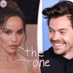 Zoë Kravitz's Relationship With 'Soulmate' Harry Styles Is SO 'Different'! 