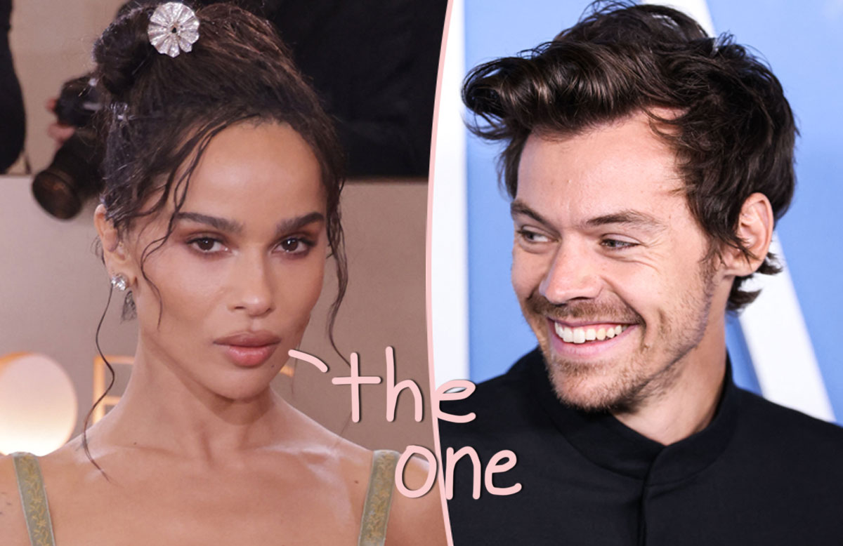 Zoë Kravitz's Relationship With 'Soulmate' Harry Styles Is SO 'Different'
